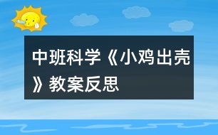 中班科學《小雞出殼》教案反思