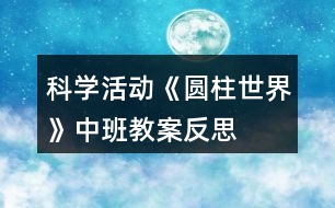 科學(xué)活動(dòng)《圓柱世界》中班教案反思