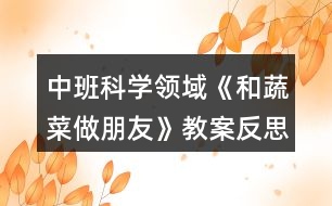中班科學領域《和蔬菜做朋友》教案反思
