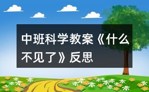 中班科學教案《什么不見了》反思