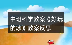 中班科學教案《好玩的冰》教案反思
