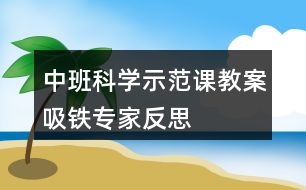 中班科學(xué)示范課教案吸鐵專(zhuān)家反思