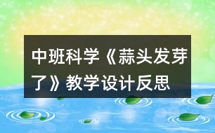 中班科學(xué)《蒜頭發(fā)芽了》教學(xué)設(shè)計反思