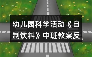 幼兒園科學(xué)活動(dòng)《自制飲料》中班教案反思