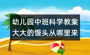 幼兒園中班科學(xué)教案：大大的饅頭從哪里來？