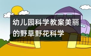 幼兒園科學(xué)教案：美麗的野草、野花（科學(xué)）