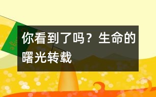 你看到了嗎？生命的曙光（轉(zhuǎn)載）