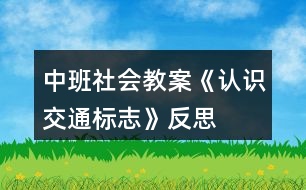 中班社會教案《認識交通標志》反思