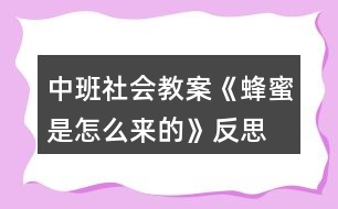 中班社會(huì)教案《蜂蜜是怎么來(lái)的》反思