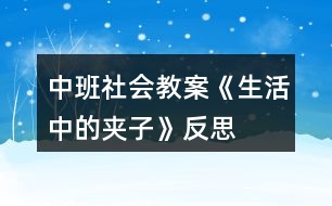 中班社會教案《生活中的夾子》反思