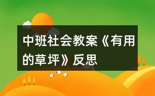 中班社會教案《有用的草坪》反思
