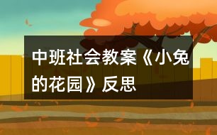 中班社會(huì)教案《小兔的花園》反思