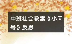 中班社會(huì)教案《小問(wèn)號(hào)》反思