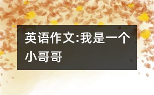 英語作文:我是一個(gè)小哥哥