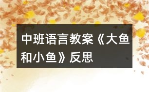 中班語(yǔ)言教案《大魚和小魚》反思
