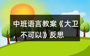 中班語(yǔ)言教案《大衛(wèi)，不可以》反思