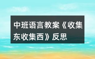 中班語言教案《收集東、收集西》反思