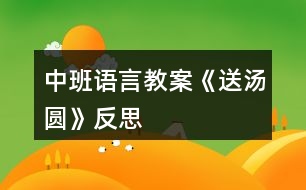 中班語(yǔ)言教案《送湯圓》反思