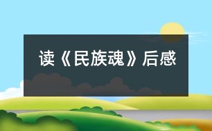 讀《民族魂》后感