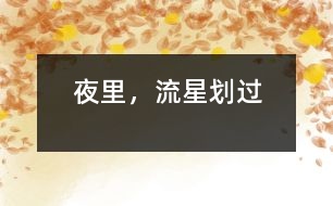 夜里，流星劃過