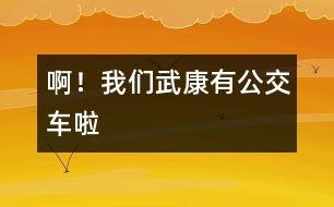 ??！我們武康有公交車啦