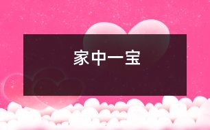家中一寶