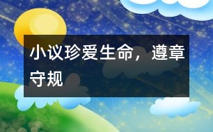 小議“珍愛(ài)生命，遵章守規(guī)”