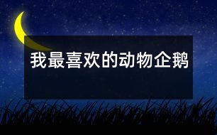 我最喜歡的動(dòng)物——企鵝