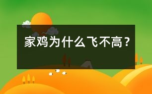 家雞為什么飛不高？