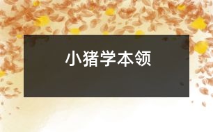 小豬學本領(lǐng)