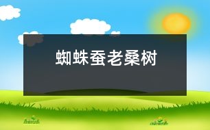 蜘蛛、蠶、老桑樹