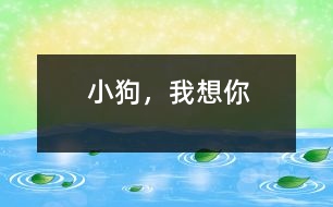 小狗，我想你