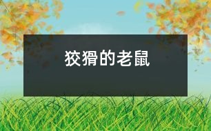 狡猾的老鼠