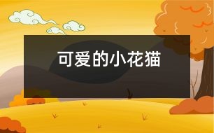 可愛的小花貓