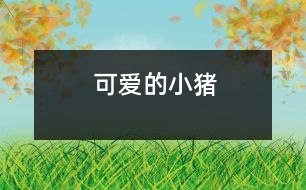 可愛(ài)的小豬