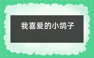 我喜愛(ài)的小鴿子