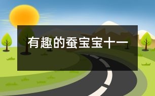 有趣的蠶寶寶（十一）