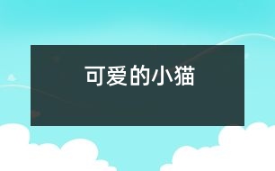可愛(ài)的小貓