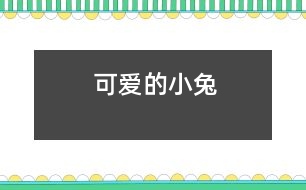 可愛的小兔
