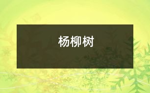 楊柳樹(shù)