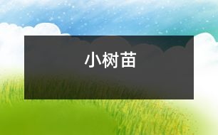 小樹苗