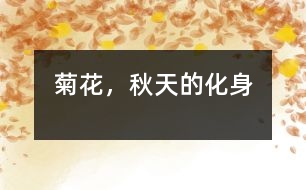 菊花，秋天的化身