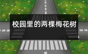 校園里的兩棵梅花樹(shù)