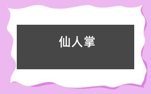 仙人掌