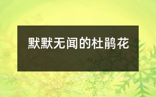 默默無(wú)聞的杜鵑花