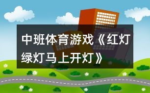 中班體育游戲《紅燈、綠燈、馬上開燈》反思