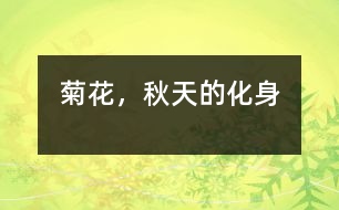 菊花，秋天的化身