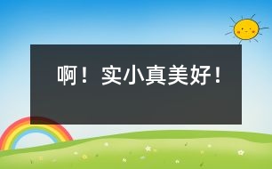 啊！實(shí)小真美好！