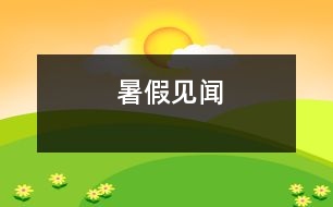 暑假見(jiàn)聞