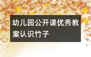 幼兒園公開課優(yōu)秀教案：認(rèn)識(shí)竹子